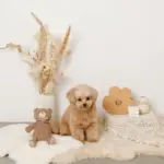 コーデュロイのくまさん - 画像 (9)