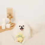 ひよこさんギンガムチェックリボンぬいぐるみ - 画像 (4)