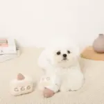 いちごのショートケーキノーズワークおもちゃ - 画像 (2)