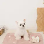 いちごのショートケーキノーズワークおもちゃ - 画像 (4)