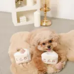 いちごのショートケーキノーズワークおもちゃ - 画像 (5)