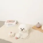 いちごのショートケーキノーズワークおもちゃ - 画像 (7)