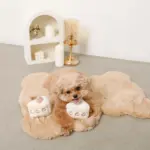 いちごのショートケーキノーズワークおもちゃ - 画像 (8)