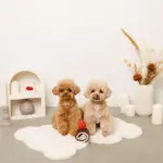 ロールケーキノーズワークおもちゃ - 画像 (3)