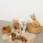 きのことくりのおもちゃSET - 画像 (7)