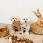 きのことくりのおもちゃSET - 画像 (8)