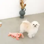 ロブスターおもちゃ USB充電 - 画像 (2)