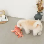 ロブスターおもちゃ USB充電 - 画像 (3)