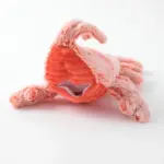 ロブスターおもちゃ USB充電 - 画像 (10)