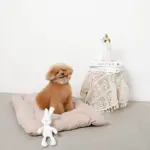 白いうさぎさん - 画像 (2)