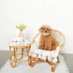 白いうさぎさん - 画像 (3)