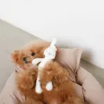 白いうさぎさん - 画像 (4)