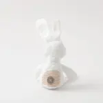 白いうさぎさん - 画像 (5)