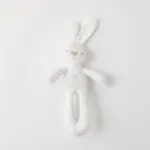 白いうさぎさん - 画像 (6)