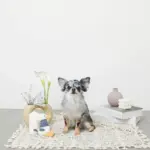 くびながのあひるさん - 画像 (6)