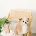 くまさんお星さまノーズワークぬいぐるみ - 画像 (3)