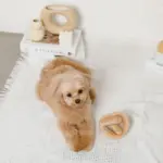 プレッツェルおもちゃ - 画像 (4)