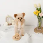 プレッツェルおもちゃ - 画像 (5)