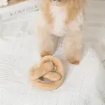 プレッツェルおもちゃ - 画像 (6)