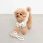 くまさんロープぬいぐるみ - 画像 (2)