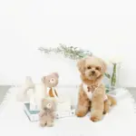 くまさんロープぬいぐるみ - 画像 (4)