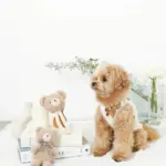 くまさんロープぬいぐるみ - 画像 (8)