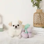 ぶどうノーズワークおもちゃ - 画像 (2)