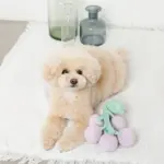 ぶどうノーズワークおもちゃ - 画像 (6)