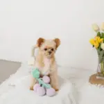 ぶどうノーズワークおもちゃ - 画像 (7)