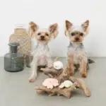 海の仲間たちのおもちゃSET - 画像 (4)