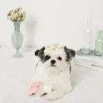 海の仲間たちのおもちゃSET - 画像 (5)