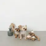 海の仲間たちのおもちゃSET - 画像 (6)