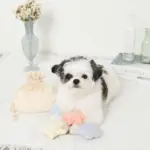 貝殻の仲間たちノーズワークおもちゃ+巾着袋付き - 画像 (4)