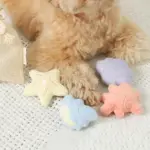 貝殻の仲間たちノーズワークおもちゃ+巾着袋付き - 画像 (7)