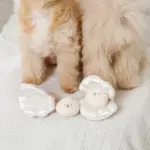 貝殻ノーズワークおもちゃ - 画像 (7)