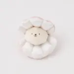 貝殻ノーズワークおもちゃ - 画像 (8)