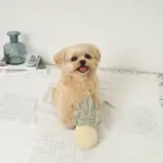 パイナップルノーズワークおもちゃ - 画像 (2)