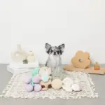 パイナップルノーズワークおもちゃ - 画像 (5)