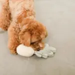 パイナップルノーズワークおもちゃ - 画像 (6)