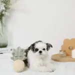 パイナップルノーズワークおもちゃ - 画像 (8)