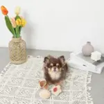 クッキー詰め合わせノーズワークおもちゃ - 画像 (2)