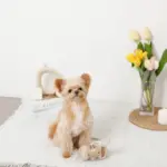 クッキー詰め合わせノーズワークおもちゃ - 画像 (7)