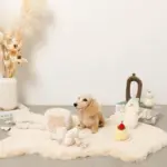 ノーズワークさいころおもちゃ - 画像 (10)