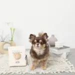 ノーズワークナチュラルブックおもちゃ - 画像 (2)