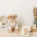 ノーズワークナチュラルブックおもちゃ - 画像 (3)