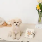 ノーズワークナチュラルブックおもちゃ - 画像 (4)