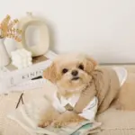 ノーズワークナチュラルブックおもちゃ - 画像 (7)