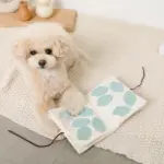 ノーズワークナチュラルブックおもちゃ - 画像 (9)