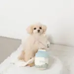 ノーズワークミルクのおもちゃ - 画像 (2)