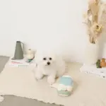 ノーズワークミルクのおもちゃ - 画像 (5)